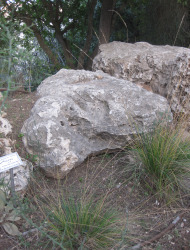 מלעניאל קצר-מלענים