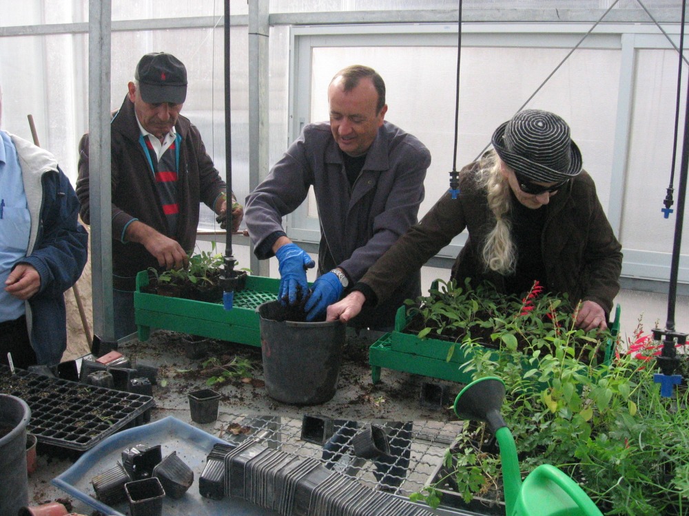 dtsmbr_2010_017